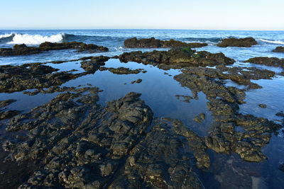 Rocks on beach against clear sky