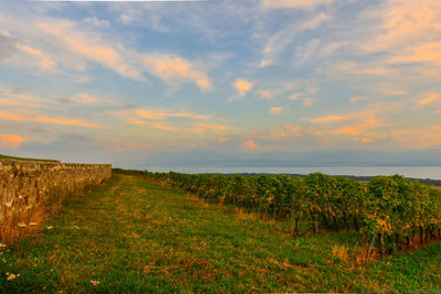 Scenic view of sea against sky during sunset