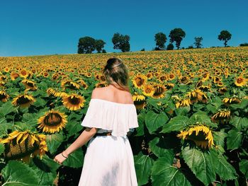 Rear view of woman standing by sunflower field against clear sky