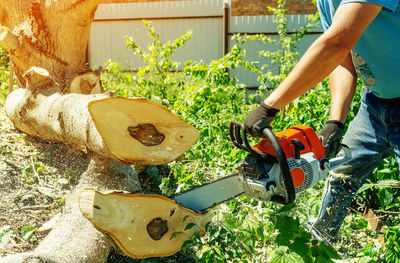 Midsection of person holding plant in yard