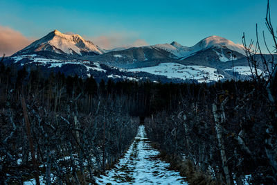 Panoramic view of snowcapped mountains, ski area of gitschberg jochtal, against sky at dawn