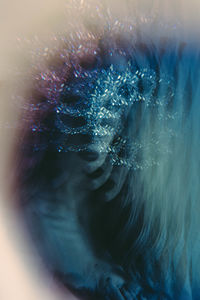 Close-up of woman swimming in sea