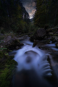 Stream flowing through rocks in forest