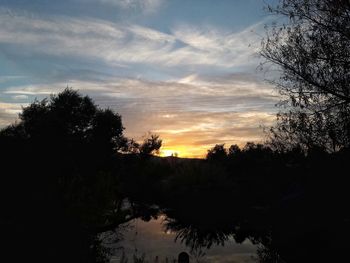 Silhouette trees against sky during sunset