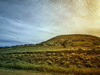 Scenic view of landscape against sky