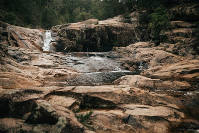 Scenic view of waterfall in forest