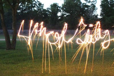 Close-up of illuminated field against sky at night