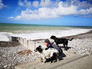 Man with dogs on steps at beach against sky