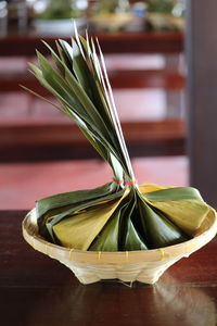 Close-up of leaf on table at home