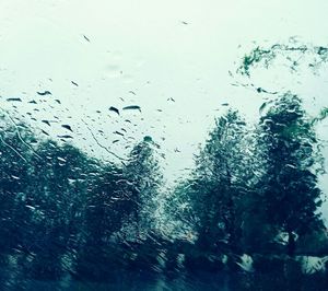 Close-up of water drops on glass