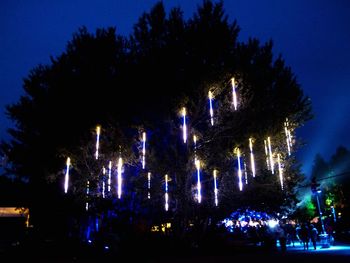Firework display at night