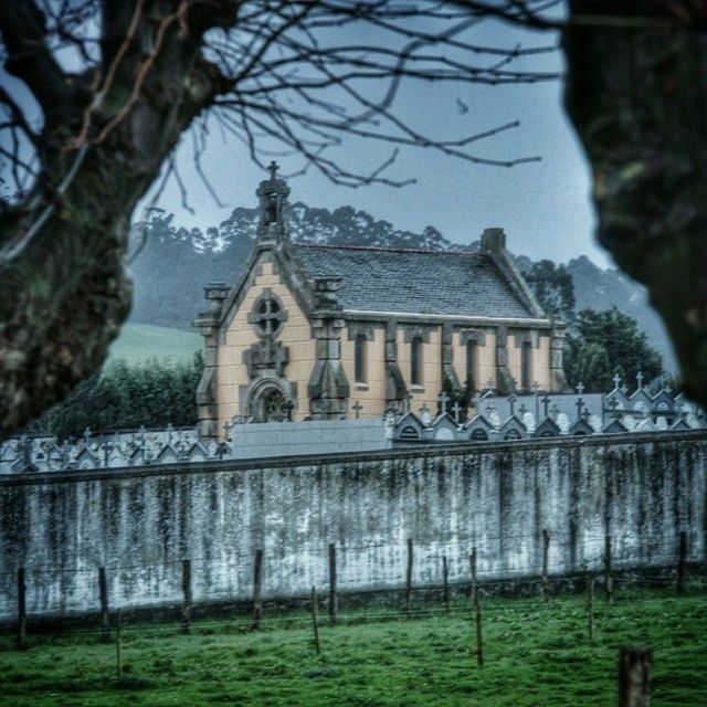 place of worship, religion, building exterior, built structure, tree, architecture, spirituality, grass, church, sky, history, day, bare tree, outdoors, field, branch, temple - building, cathedral