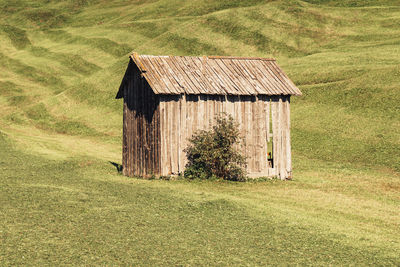 Meadow Wooden