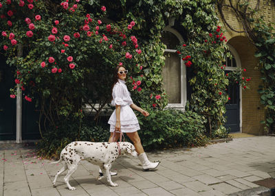 Portrait of woman standing by plants with dog