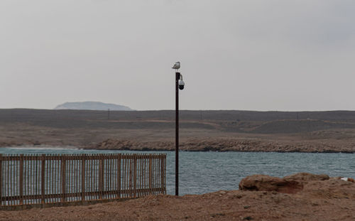 Street light by sea against clear sky