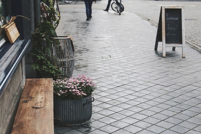 Low section of potted plants on sidewalk by street