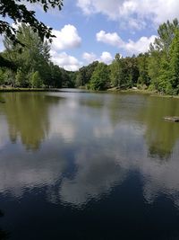 Reflection of trees in lake