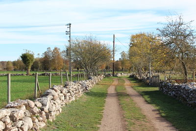 Footpath amidst trees on field against sky