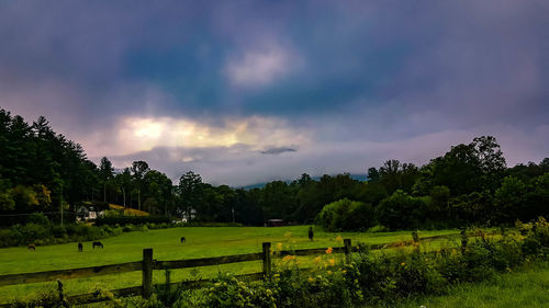 Scenic view of field against sky during sunset