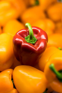 Close-up of bell peppers