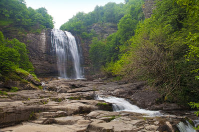 Scenic view of waterfall in forest