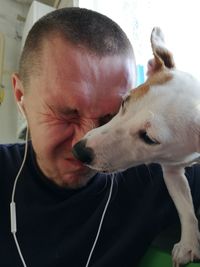 Close-up of dog looking at camera