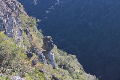 High angle view of tree mountain