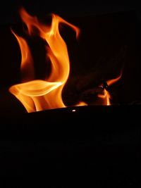 Close-up of fire in the dark