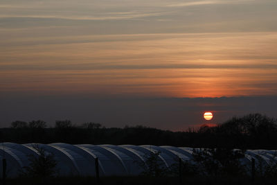 Scenic view of field against orange sky