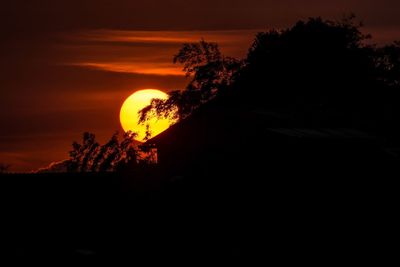 Silhouette tree against orange sky