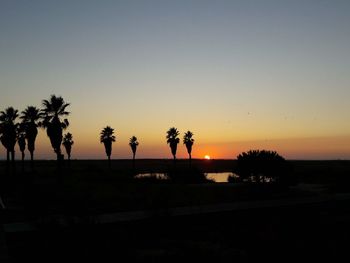 Silhouette palm trees against sky during sunset