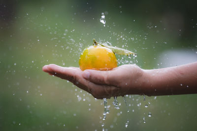 Close-up of hand holding wet glass