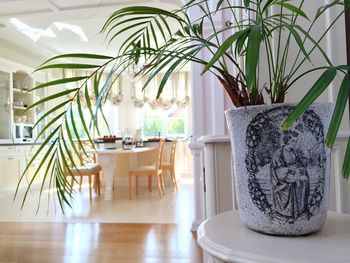 Close-up of potted plant on table at home