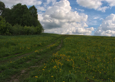 Scenic view of grassy field against cloudy sky