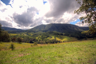 Scenic view of field against sky