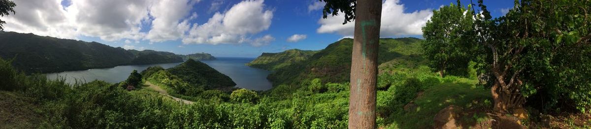 Panoramic view of land and trees against sky