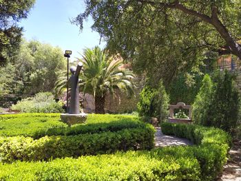 Statue in garden