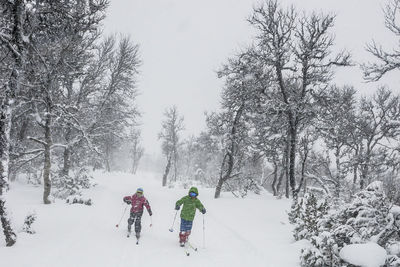 Kids snowshoeing in forest