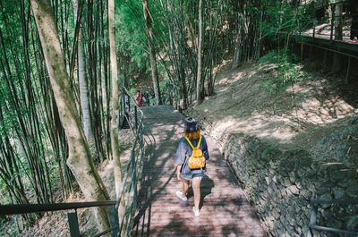 Rear view of woman with backpack walking on footbridge in forest