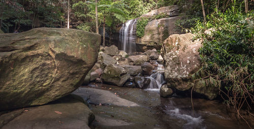 River flowing through rocks in forest