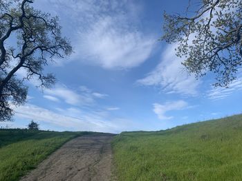 Scenic view of road amidst field against sky