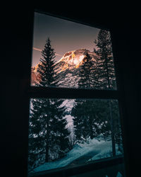 Snow covered trees in forest against sky seen through glass window