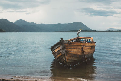 Bird perching on boat moored at shore