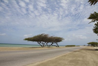 Palm trees against cloudy sky