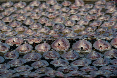 Full frame shot of bread in market