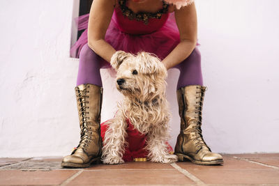 Cropped unrecognizable mature female clown in funny costume embracing adorable fluffy dog while sitting on street after performance