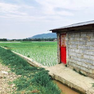 Scenic view of farm against sky