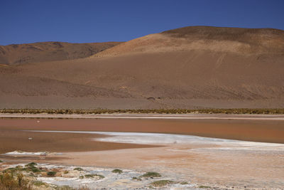 Scenic view of desert against clear sky