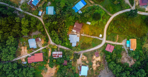 High angle view of street amidst buildings and trees