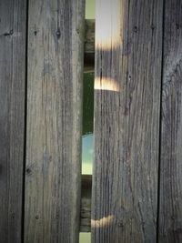 Surface level of wooden footbridge over water